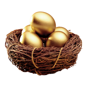 市場(chǎng)前景